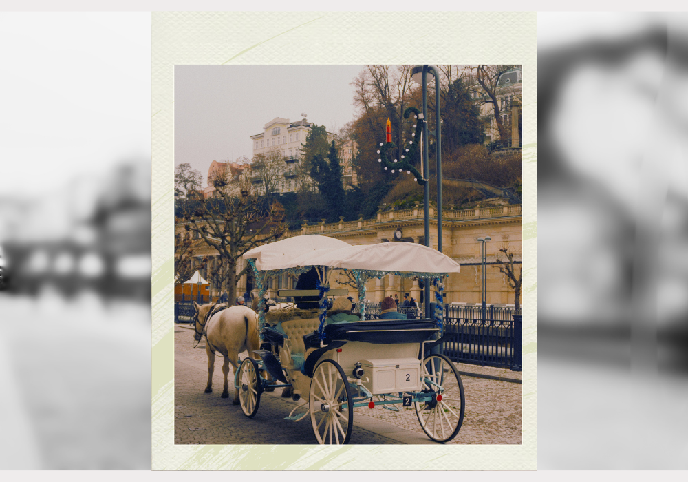 Elegant horse-drawn carriage in a classic European city setting.