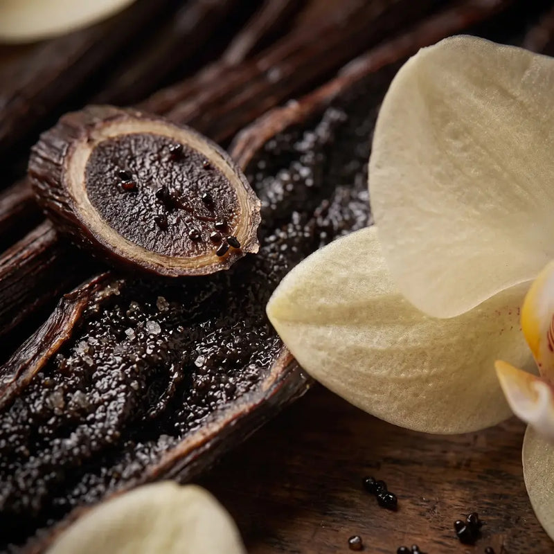 Close-up of vanilla pods and an orchid fragrance note