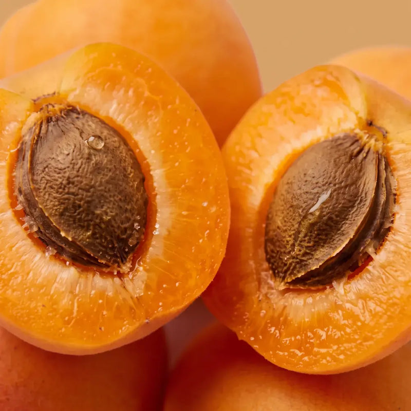 Fresh ripe apricots, cut in half with pits on a white background fragrance note perfumes